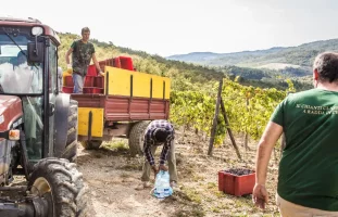 Schermafbeelding 2020-09-05 om 15.34.17